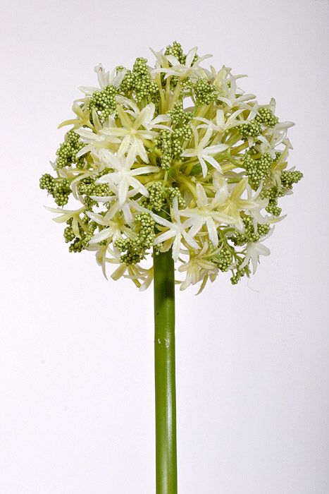 29" Artificial Allium Spray Cream