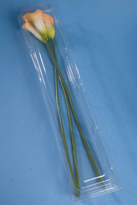 24.5&quot; X 5&quot; X 4&quot; Small Dozen Rose Plastic Box Clear (Pkg/5)