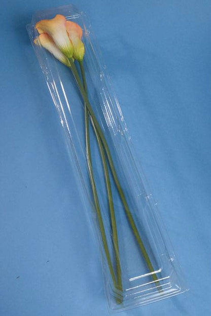 24.5&quot; X 5&quot; X 4&quot; Small Dozen Rose Plastic Box Clear (Pkg/5)