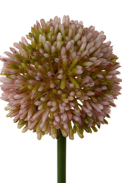 21.5" Allium Spray Mauve