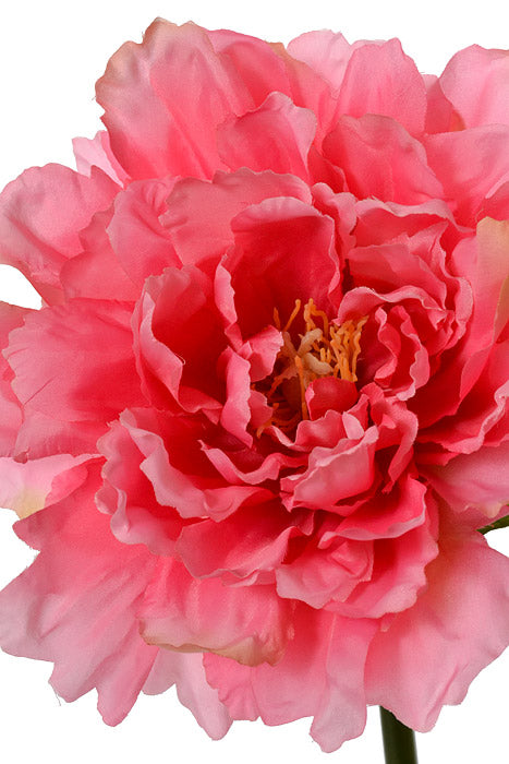 19" Silk Peony Spray Rose/Pink