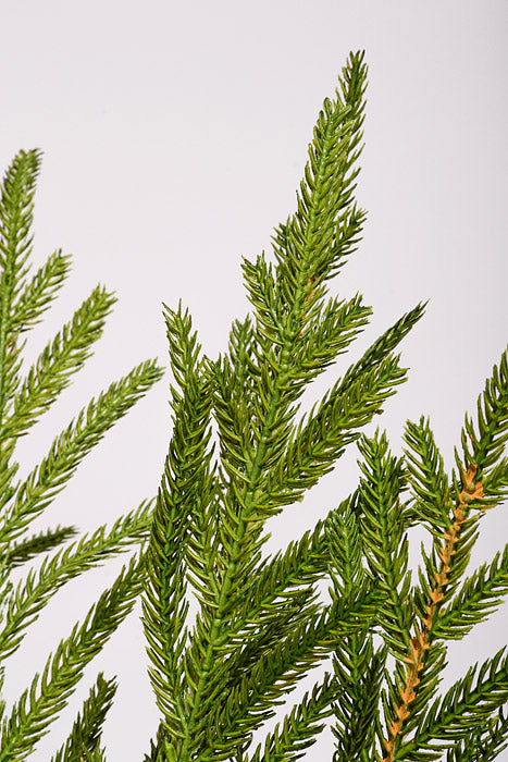 30" Artificial Soft Touch  Mini Fir Spray Green