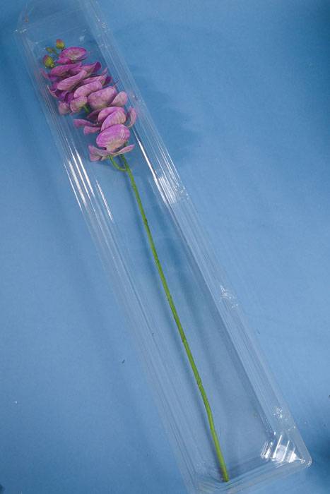 31.5" X 6" X 5" Large Cut Flower Box Clear (Pkg/5)