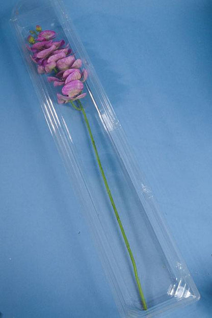 31.5" X 6" X 5" Large Cut Flower Box Clear (Pkg/5)