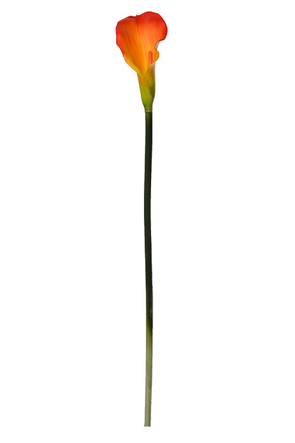 29" Calla Lily Spray Orange