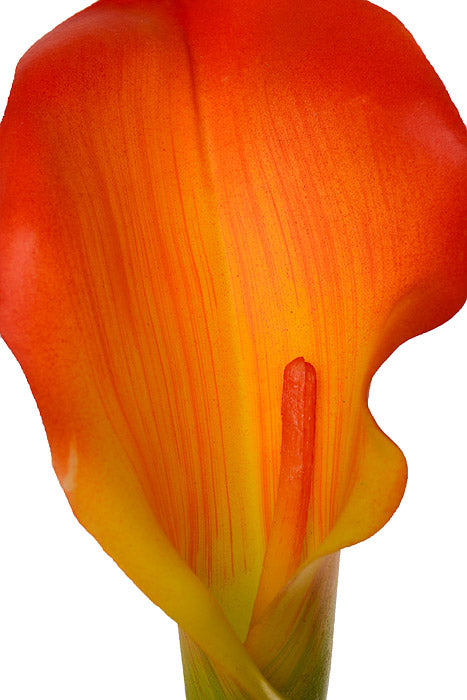 29" Calla Lily Spray Orange