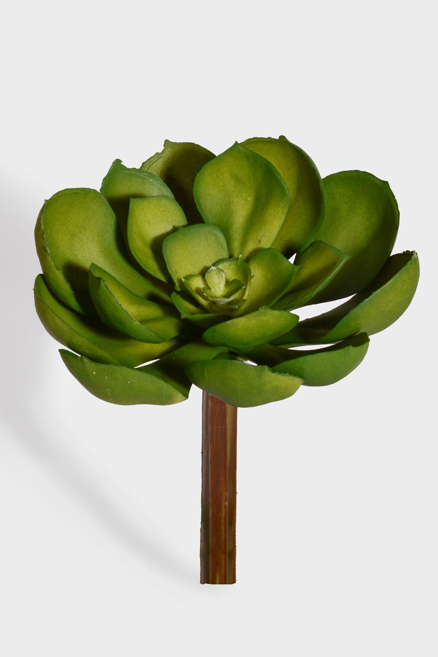 5" Artificial Echeveria Pick Green