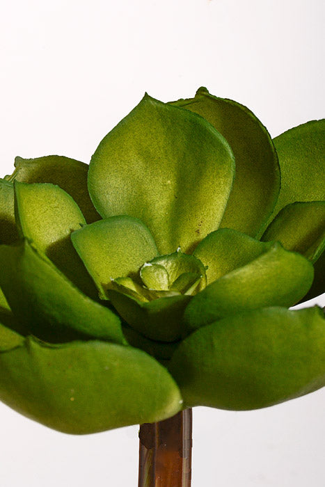 5" Artificial Echeveria Pick Green