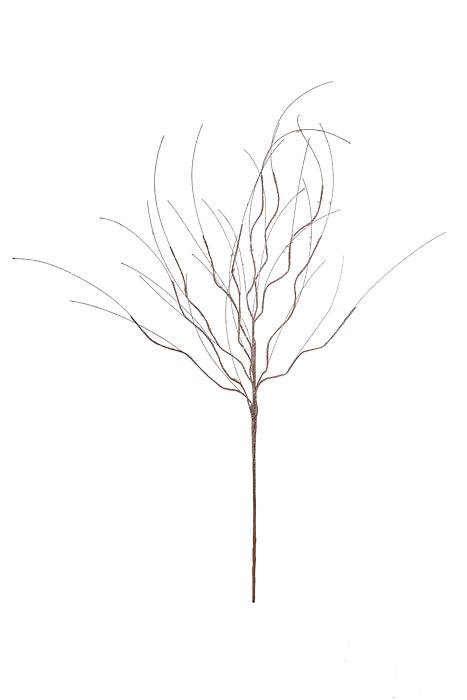 36" Frosted Curly Twig Spray Natural Frosted