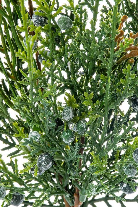 20&quot; Cedar/juniper Pick Green Pkg/3