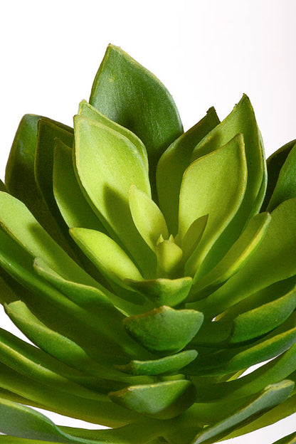9" Artificial Echeveria Plant Green