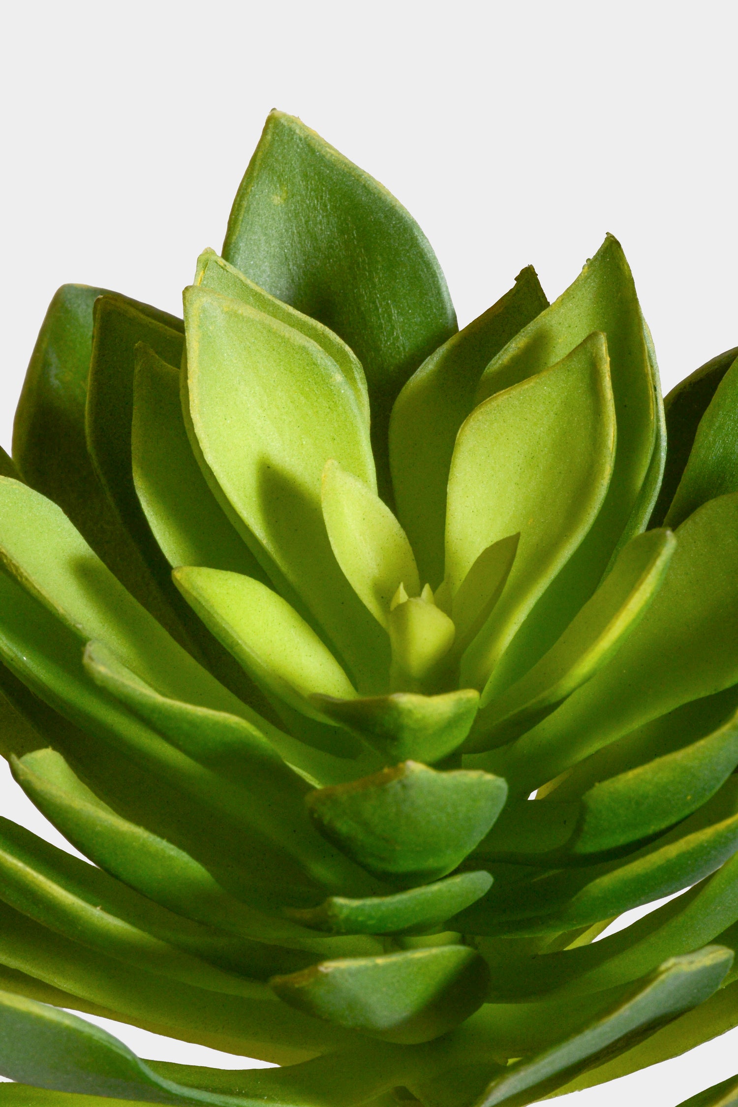 9" Artificial Echeveria Plant Green