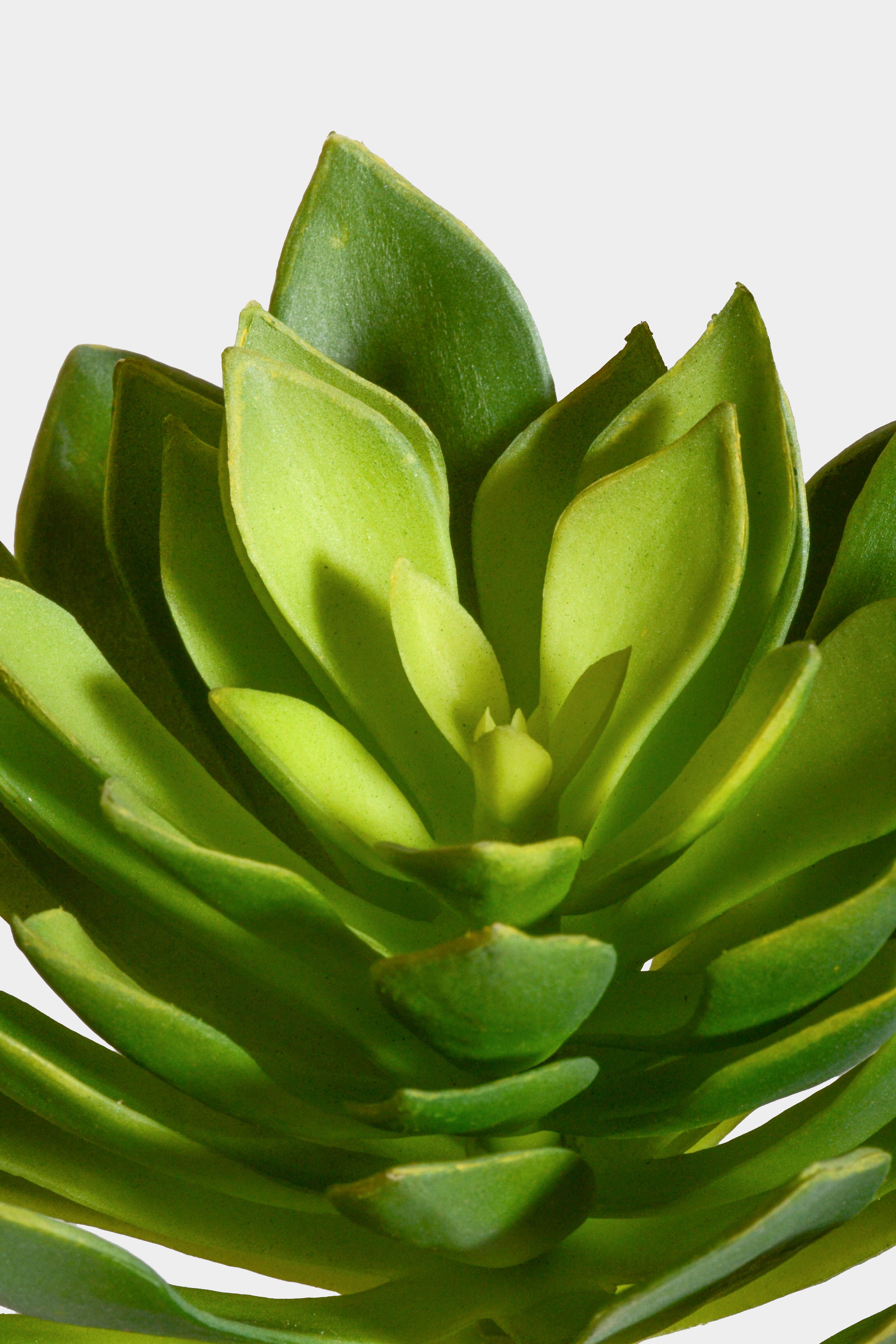 9" Artificial Echeveria Plant Green