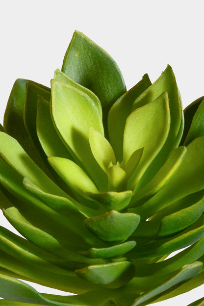 9" Artificial Echeveria Plant Green