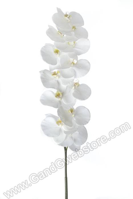 44.5" Phalaenopsis Spray White