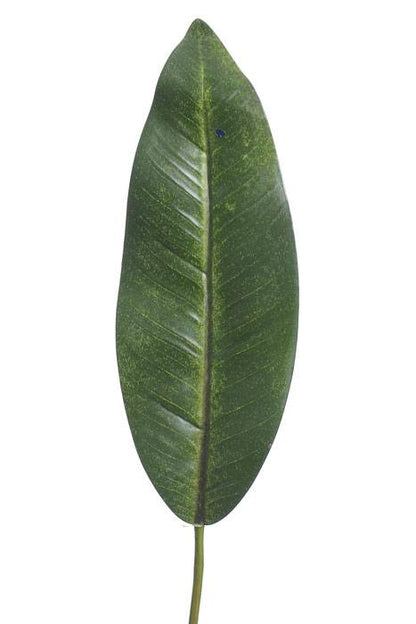 37" Bird Of Paradise Leaf Spray Green