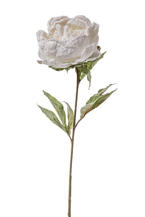 27" Peony Stem W/snow White