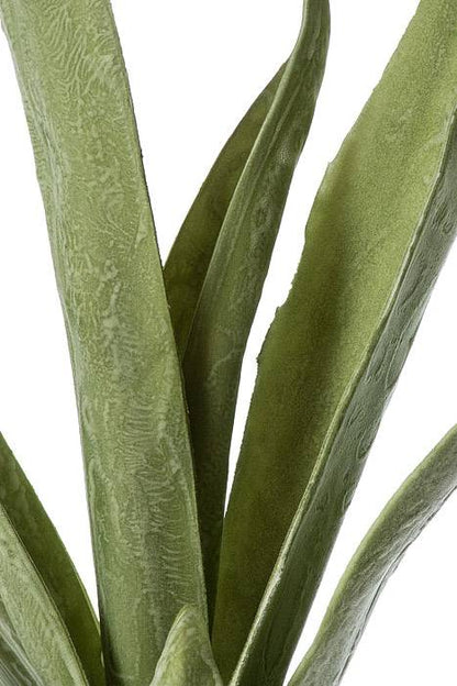 43" Leaves Eva Green