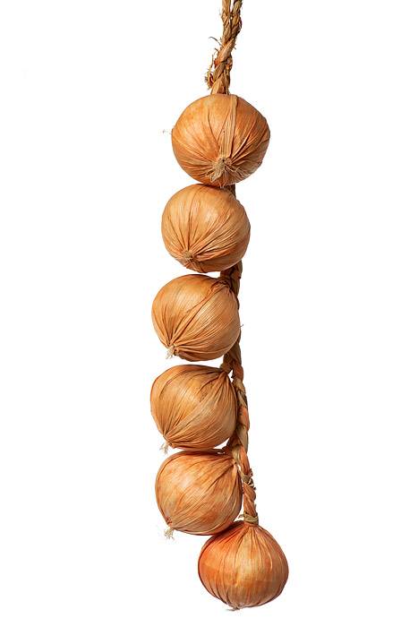 20" Onion String Yellow Orange