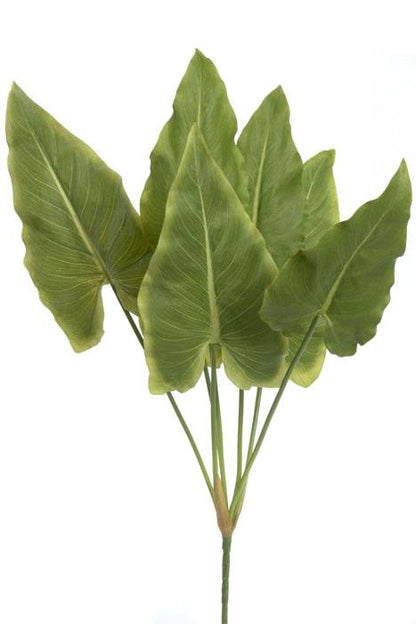 28" Calla Lily Leaf Bush Green