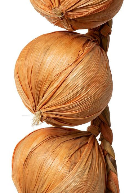 20" Onion String Yellow Orange