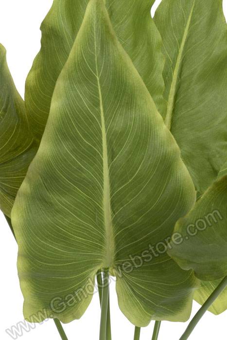 28" Calla Lily Leaf Bush Green