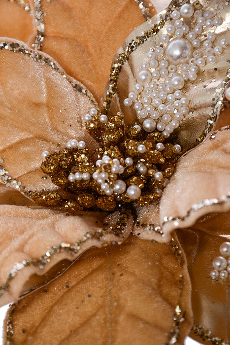 7.5" Poinsettia With Pearl Clip Champagne/Gold