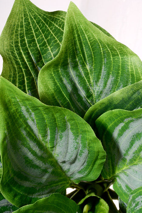 10&quot; Artificial Hosta Leaf Bush Green