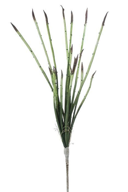 37" Sansevieria Plant Green/brown
