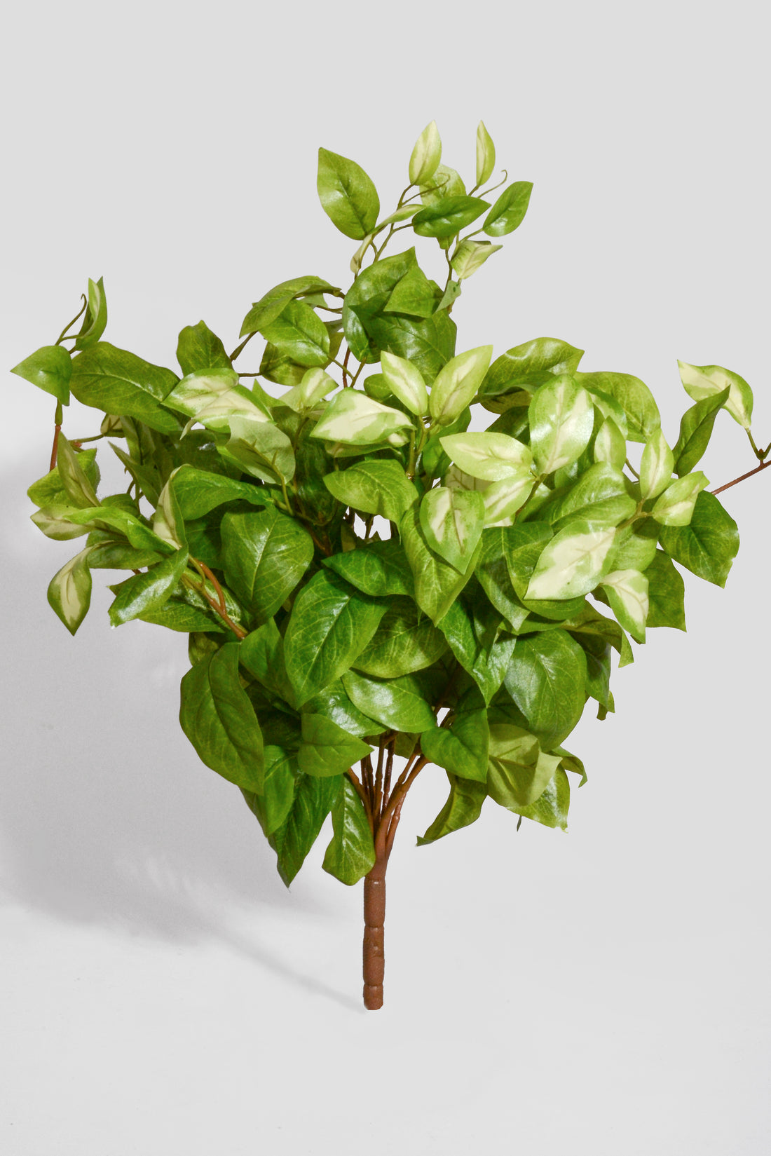 20" Artificial Hoya Hanging Bush Green/Cream