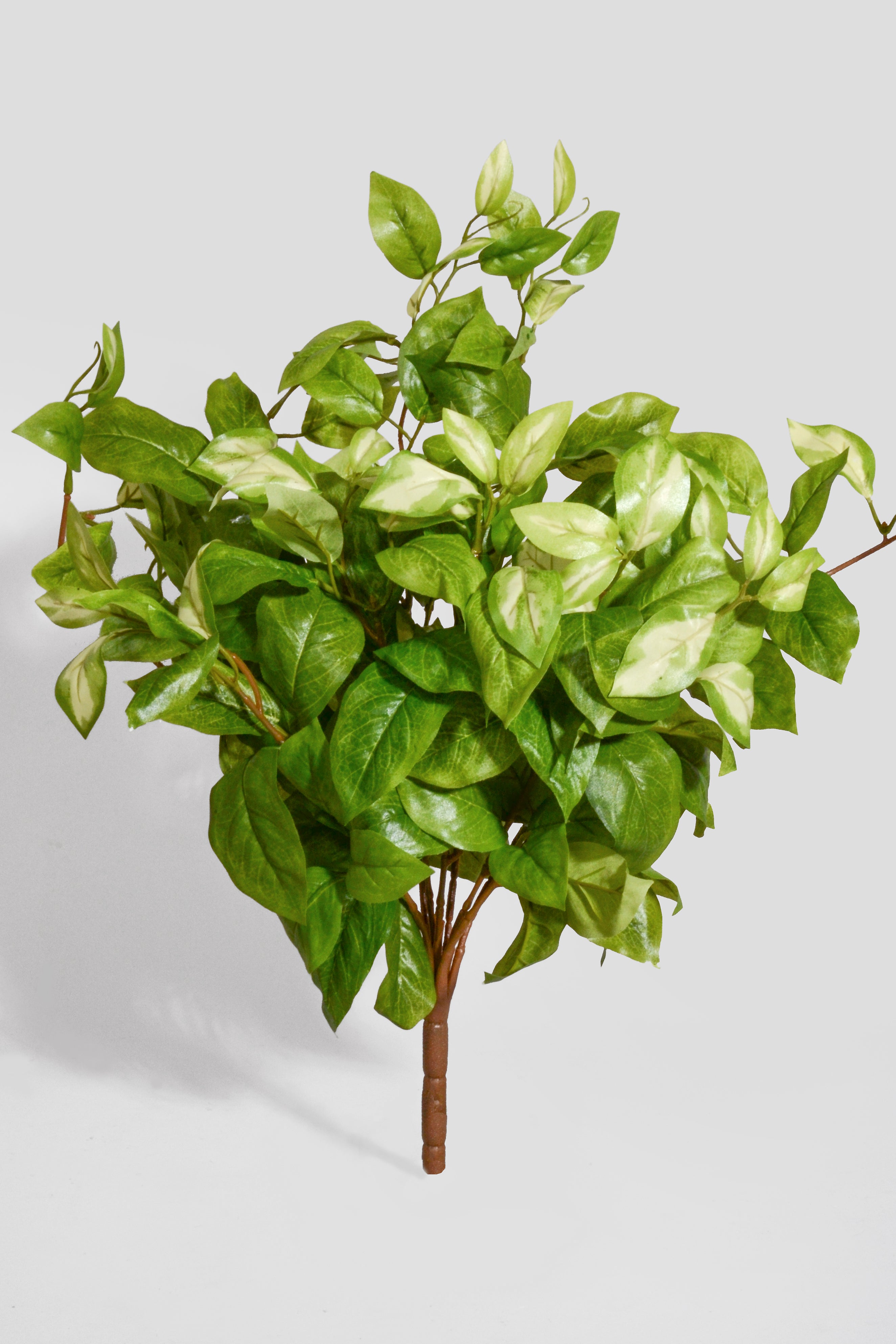 20" Artificial Hoya Hanging Bush Green/Cream