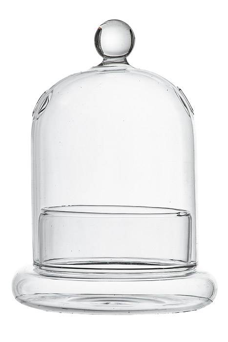5.5"x 3" Terrarium Glass Cloche Clear