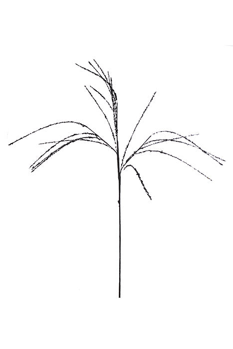 34" Sequin Willow Spray Black