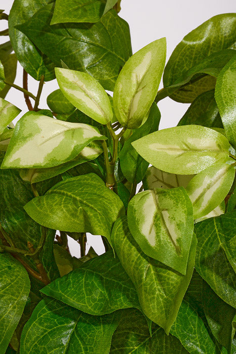 20&quot; Artificial Hoya Hanging Bush Green/Cream