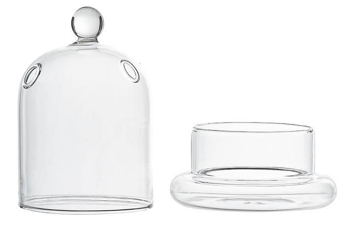 5.5"x 3" Terrarium Glass Cloche Clear