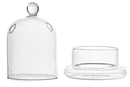5.5"x 3" Terrarium Glass Cloche Clear
