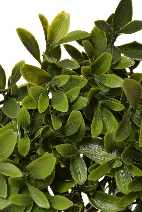 14" Plastic American Boxwood Candle Ring Green