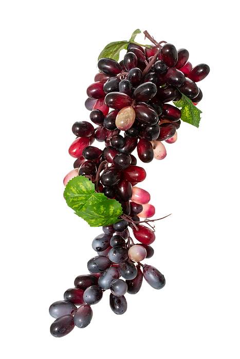 18" Grape Cluster W/leaves Burgundy