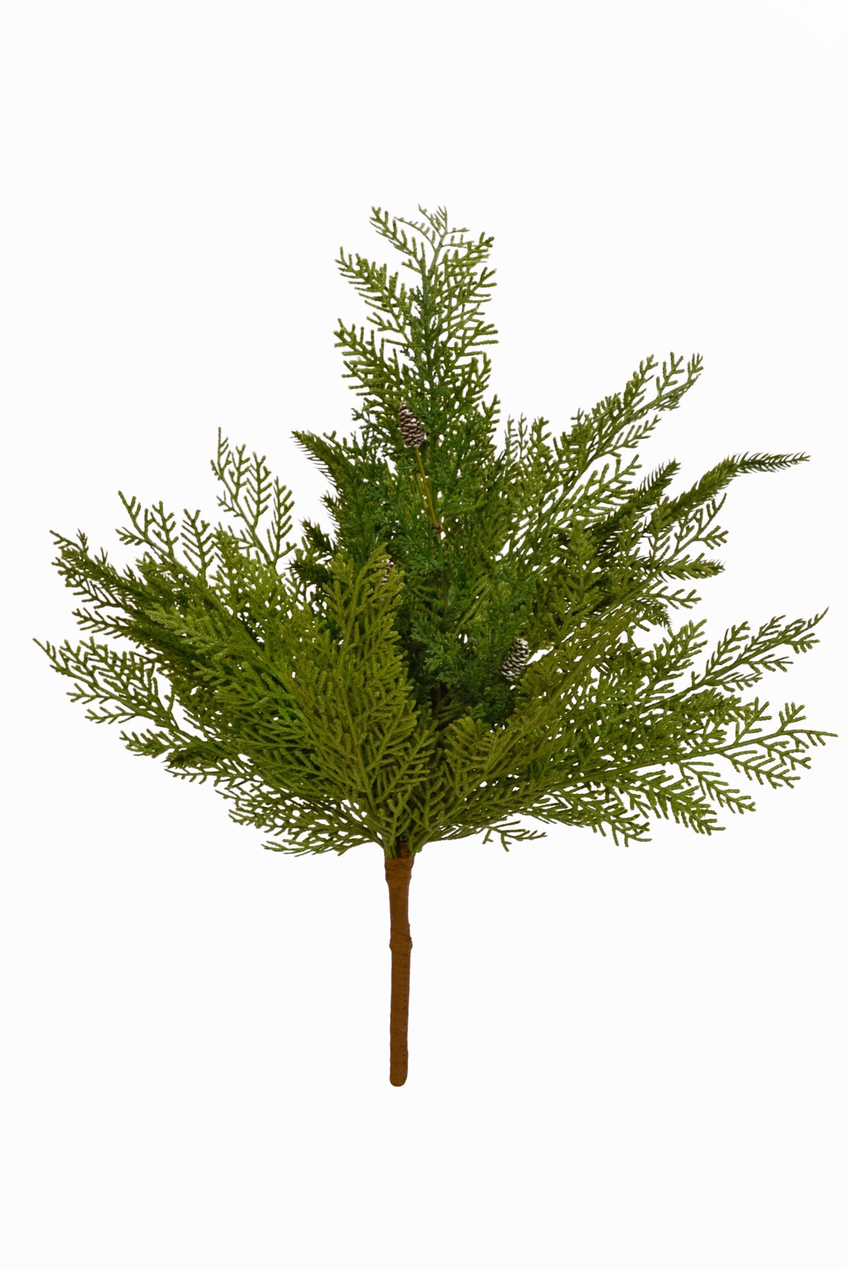 22" Cypress Norfolk Bush Green