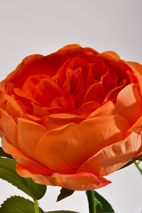 25.5" Silk Rose Spray Orange