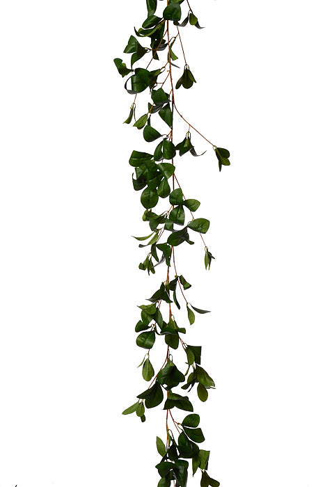 67.75" Peperomia Leaf Garland Green