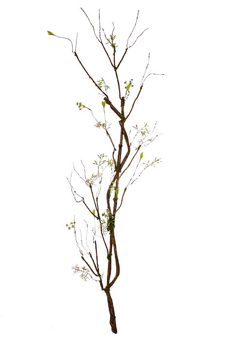 52" Twig Branch With Moss Green