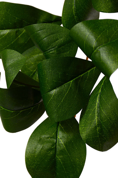 67.75" Peperomia Leaf Garland Green