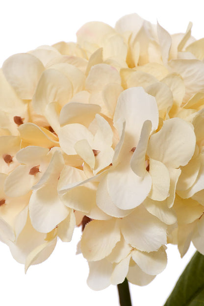 13.75" Silk Hydrangea Spray Ivory