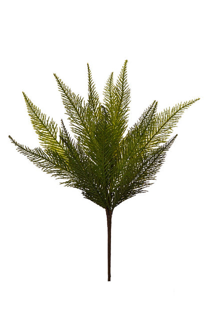 17" Asparagus Fern Bundle Green