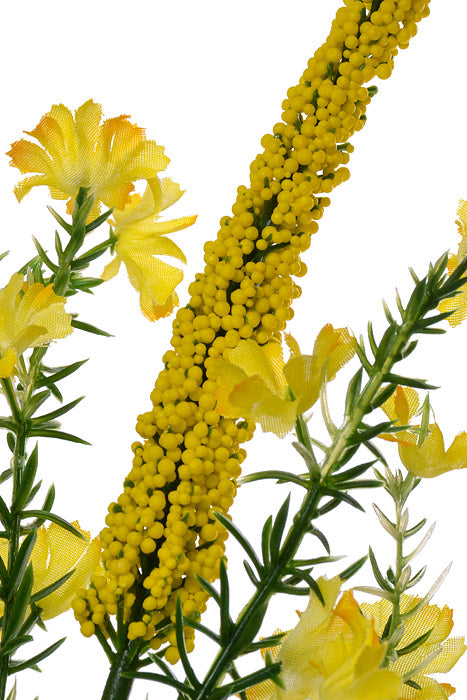 22" Honeysuckle Heather Yellow