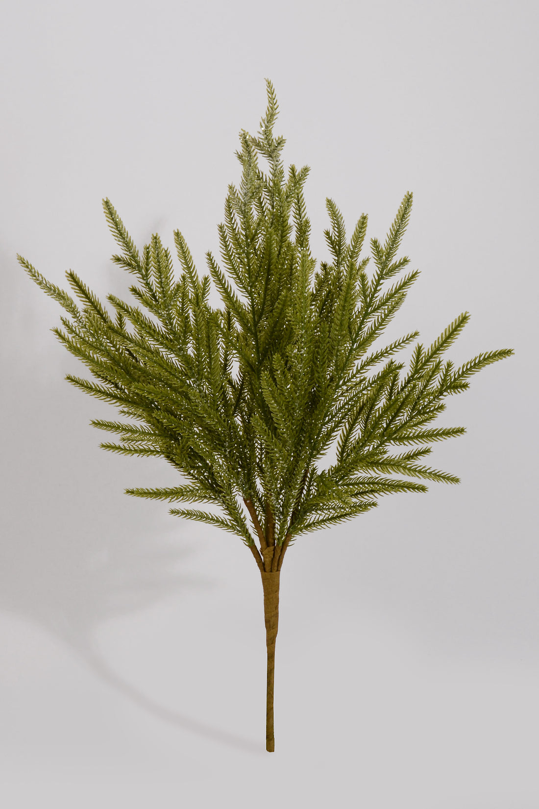 22" Frosted Norfolk Pine Bush Light Green