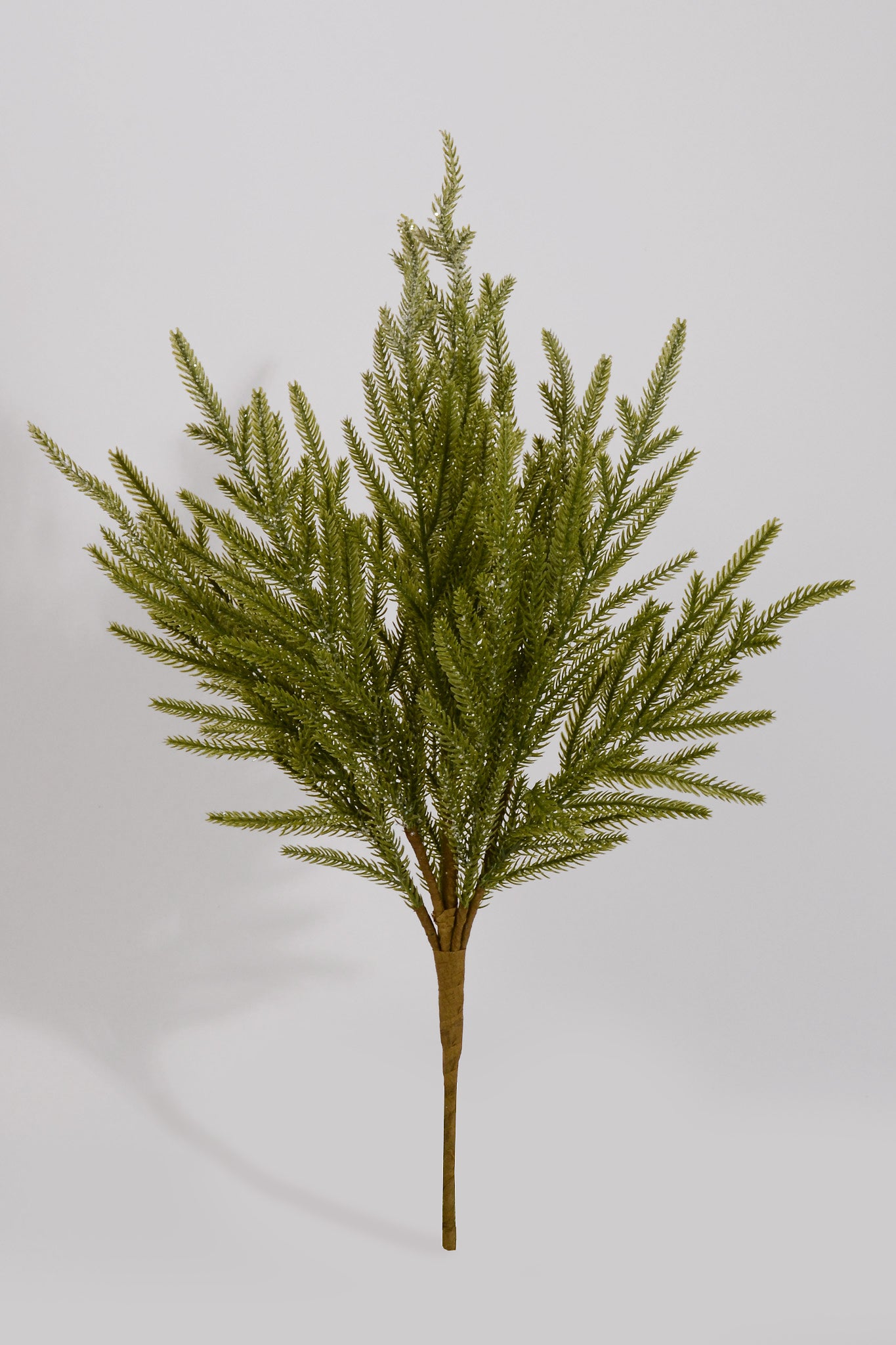 22" Frosted Norfolk Pine Bush Light Green