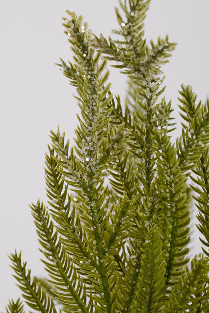 22" Frosted Norfolk Pine Bush Light Green