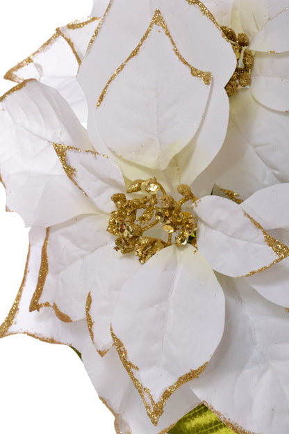 21" Glittered Edge Poinsettia Bush (White)